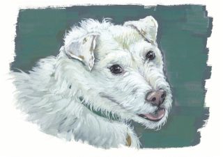 Watercolour Terrier Dog Pet Portrait